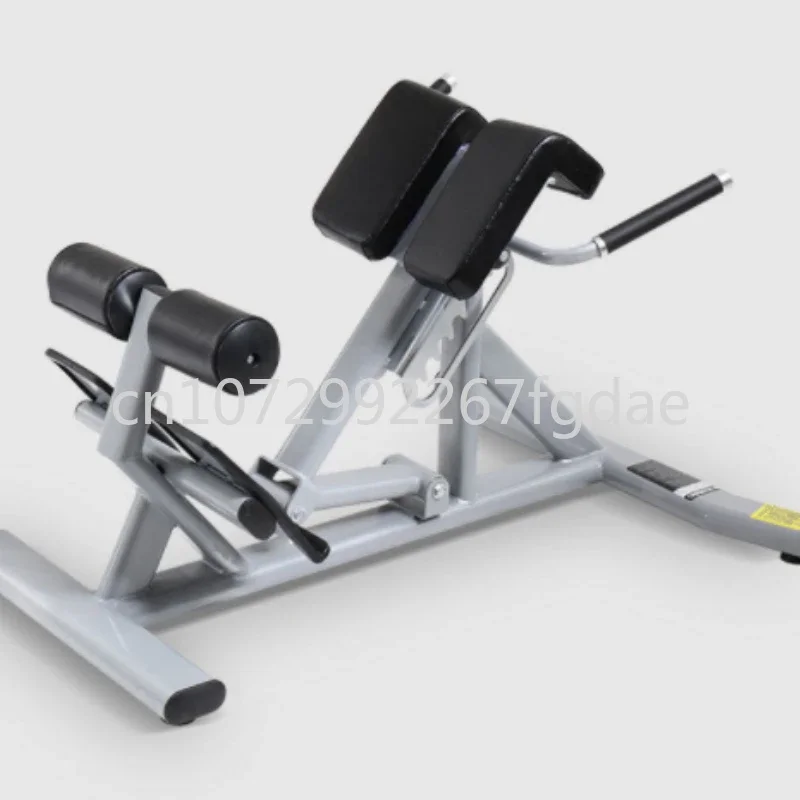 

Roman Chair Fitness Equipment Fitness and Fitness Equipment Back Extension