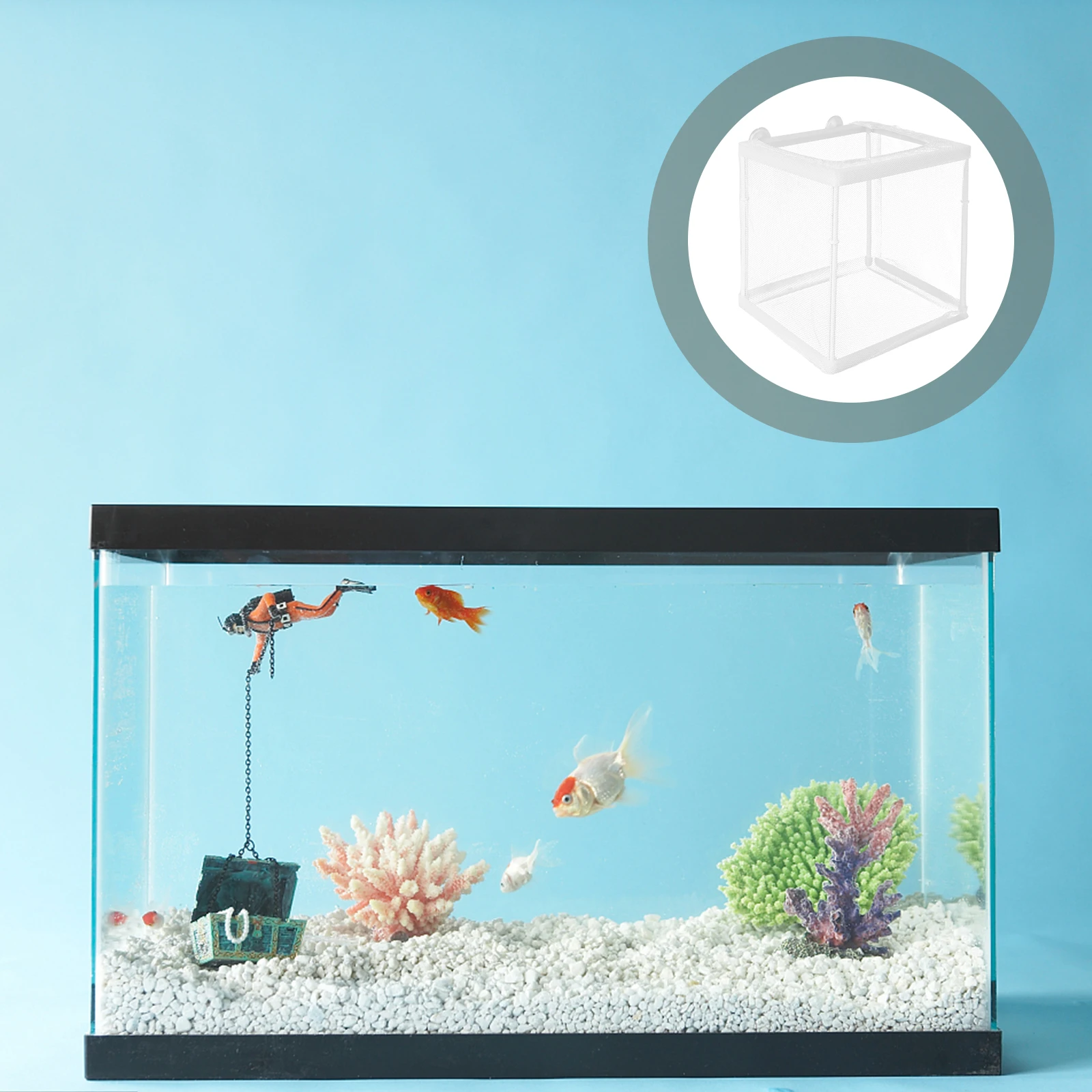 

1pc Fish Breeder Box Hatching Aquarium Tank Incubator Container Isolated Room Glass Easy Cleaning Safe Practical Fish Hatchery
