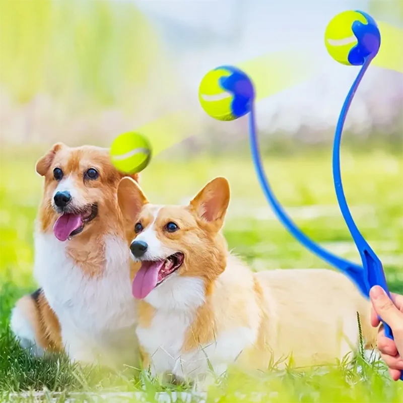 Pet ball throwing stick ball throwing device pitching toy dog cat interactive ball picking pet toy ball shooting hand