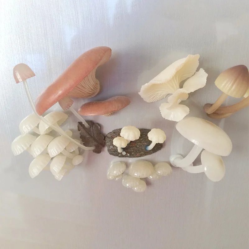 Japanese Ikimon 'Glow Mushrooms' Series Gachapon Magnetic Bioluminescent Fungi Decor Re-Release Toy Collectible Action Figure