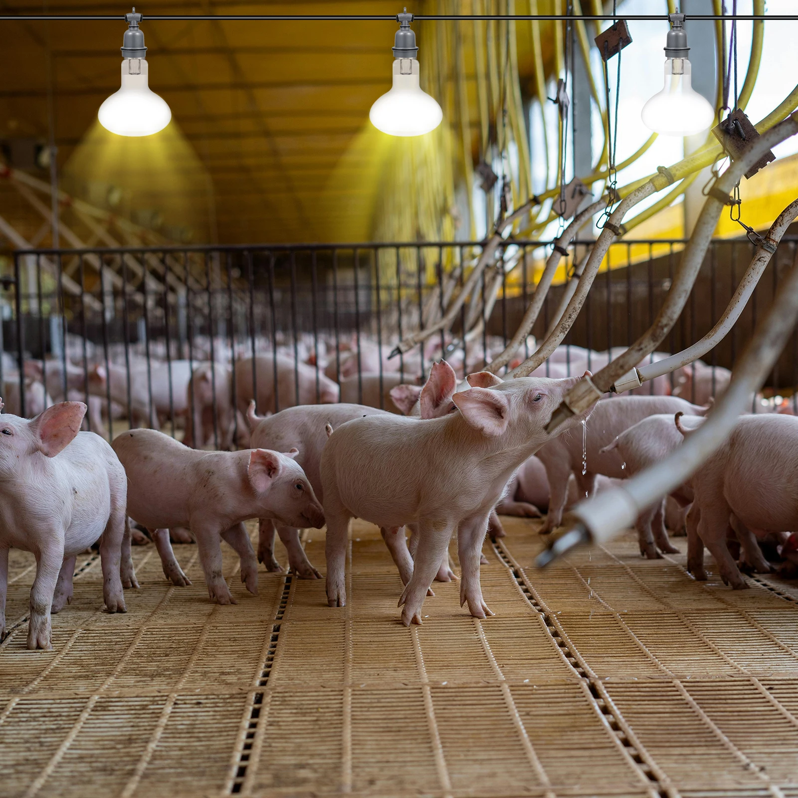 

Прочный водонепроницаемый винтовой фарфоровый цоколь для лампы E27, цоколь для домашнего и фермерского освещения, цоколь настольной лампы, металлическая розетка для светильника