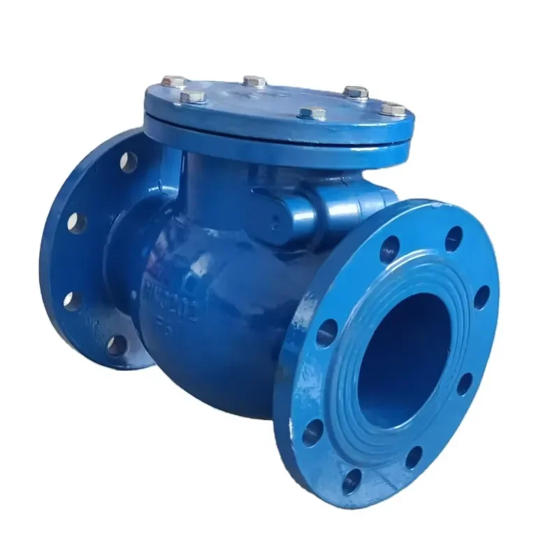 Factory Hot Sale Cast Iron Flange Swing Check Valve for Water