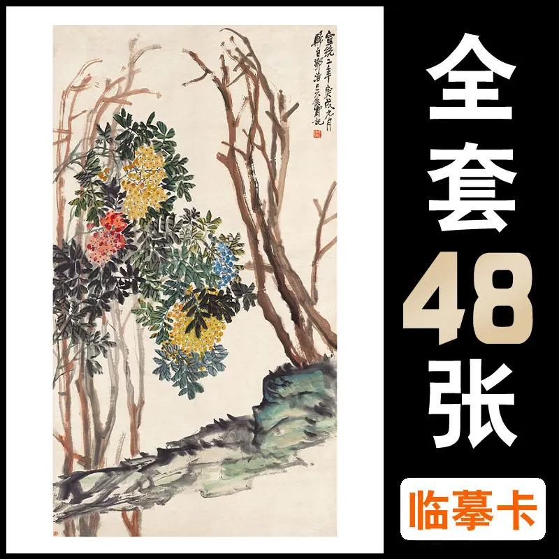 Chinese Painting Copying Card Flower and Fruit Chapter Introduction To Ink Painting Art Training Set of 48 Pieces