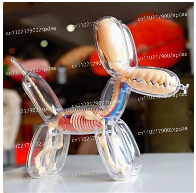 Suitable for 4D MASTER Big Balloon Dog Perspective Bone Internal Organs Anatomical Organ Model Educational Assembly Toy