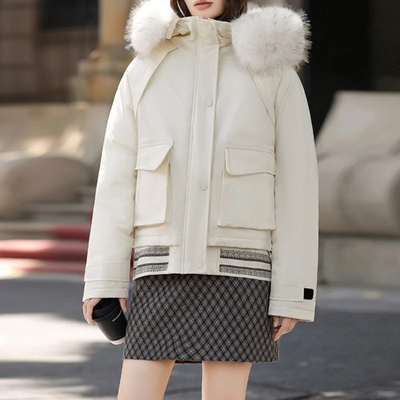

New Plus Size Women's Short Student Cotton Jacket with Loose Large Fur Collar and Contrasting Colors
