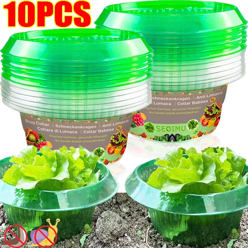 10/1X Plants Slug P…