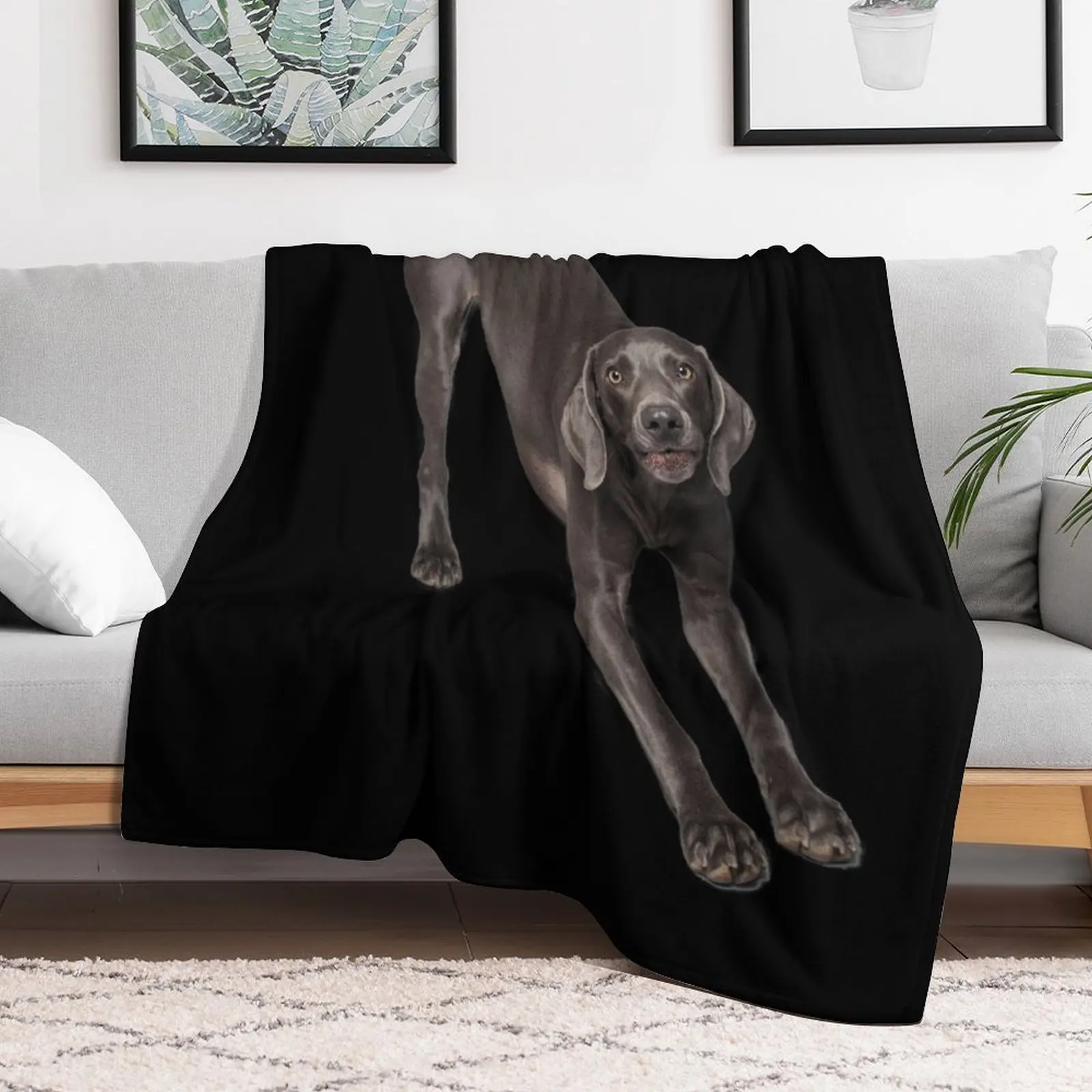 Weimaraner bow Throw Blanket Kid'S Luxury St Blankets