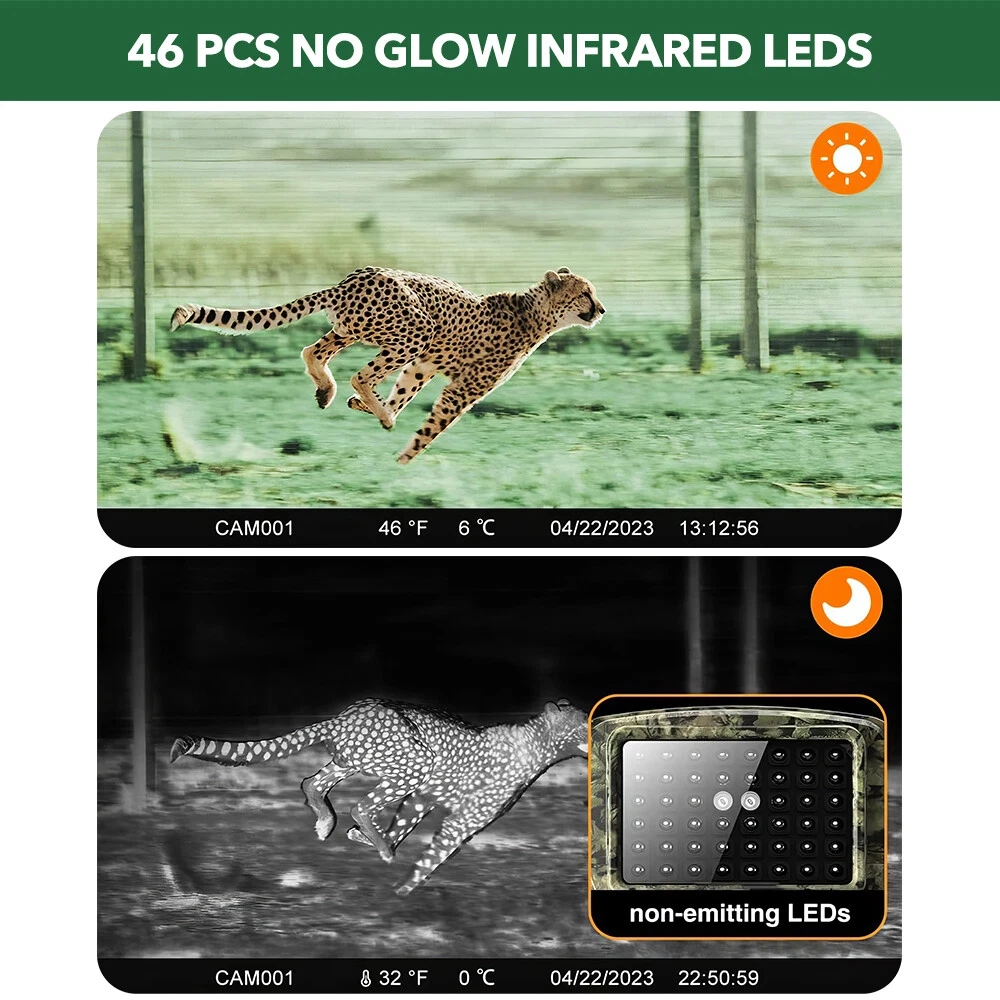 Thumbnail 4 - #61 Latest Wildlife Cameras Offers