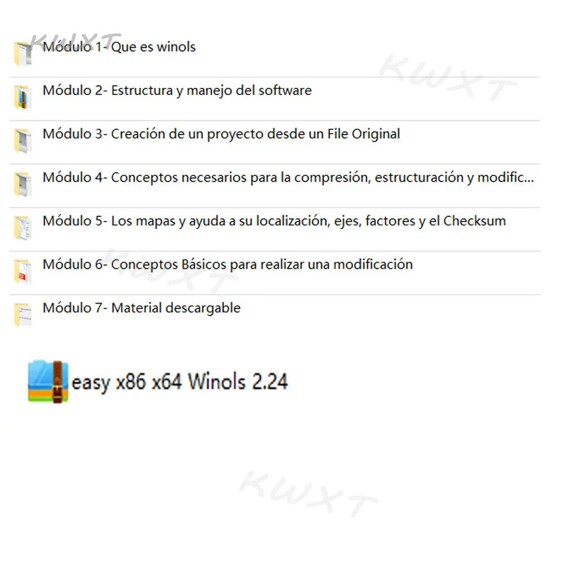 Complete WINOLS course-learn to rewrite the memory of the ECU (advanced basic level), Spanish language 40H videos 320 Page