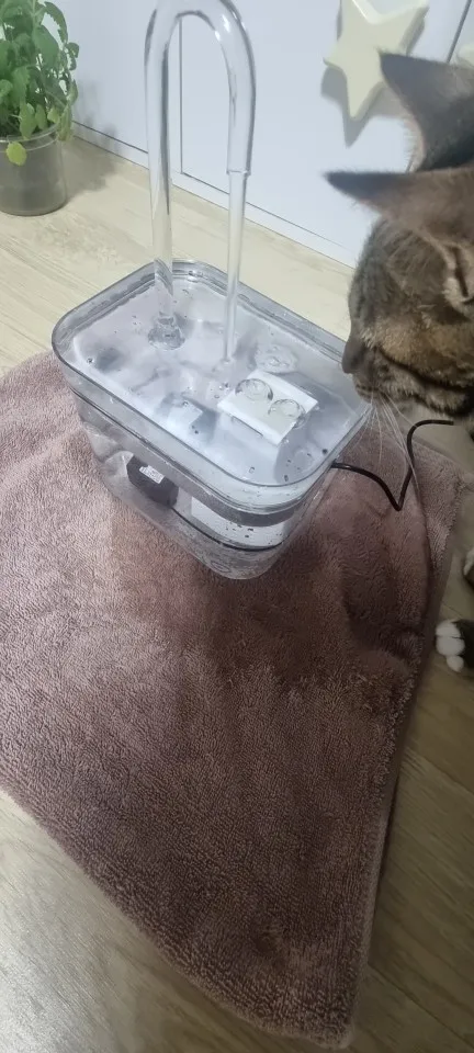 구매후기