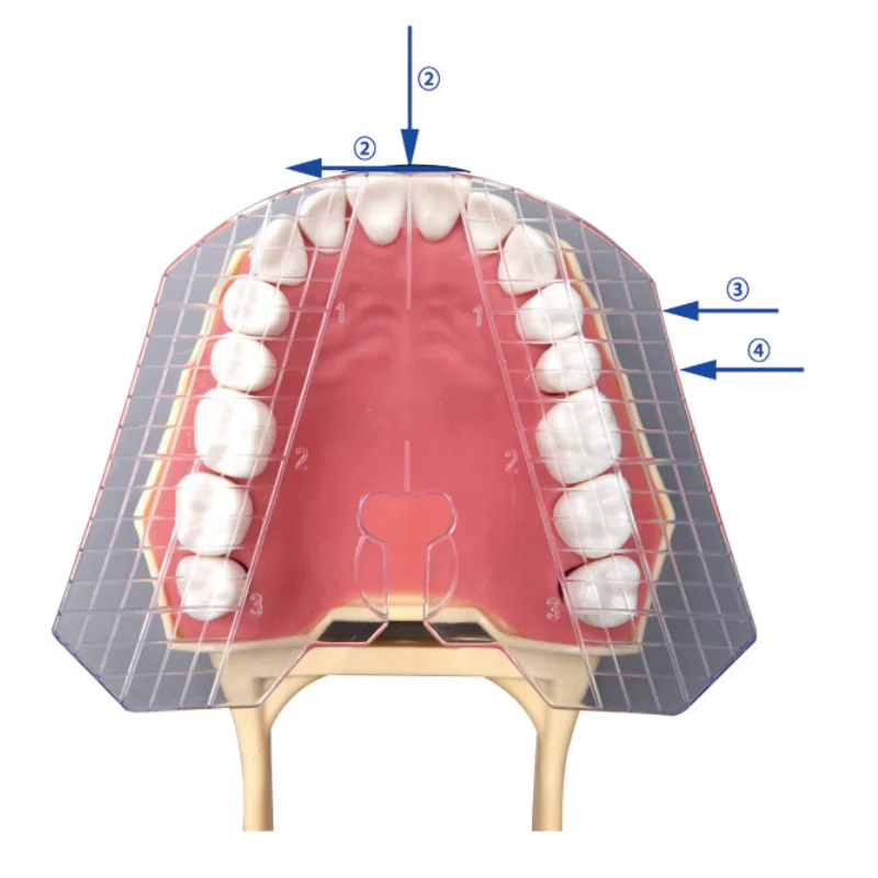 1Pc Dental Guide Plate Denture Teeth Arrangement Instrument Oral Measuring Ruler Complete Denture Alignment Measurement Tool