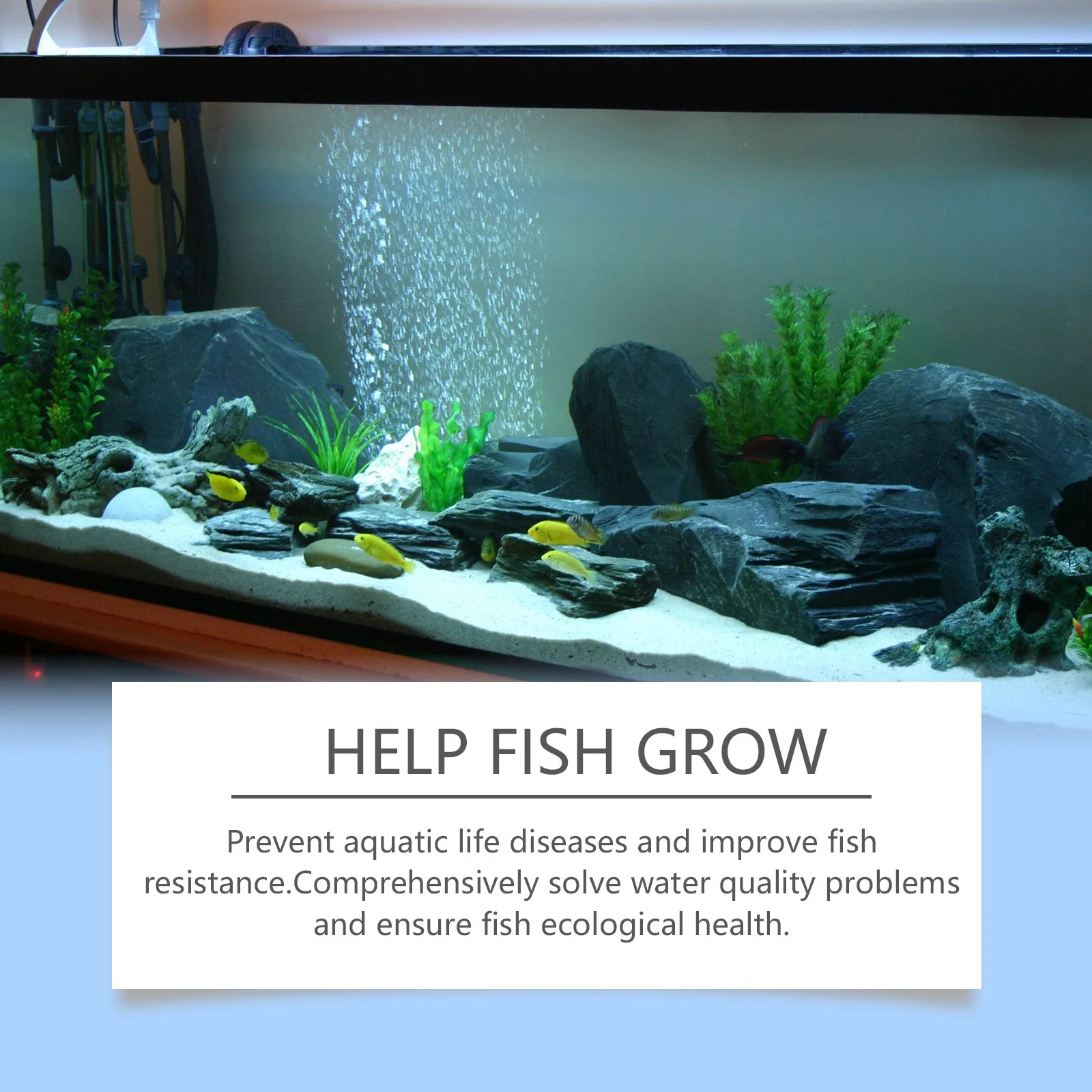 Aquarium-Algenentferner, Pulve – Aquarium Fish Diseases Bewertung und Preis