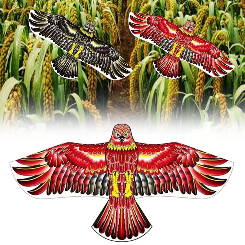 Gioco per uccelli cinesi Golden Eagle Eagle Kite Field Scares Bird 20m Linea impermeabile e grandi uccelli Bambini che volano Kit antipioggia J4z1