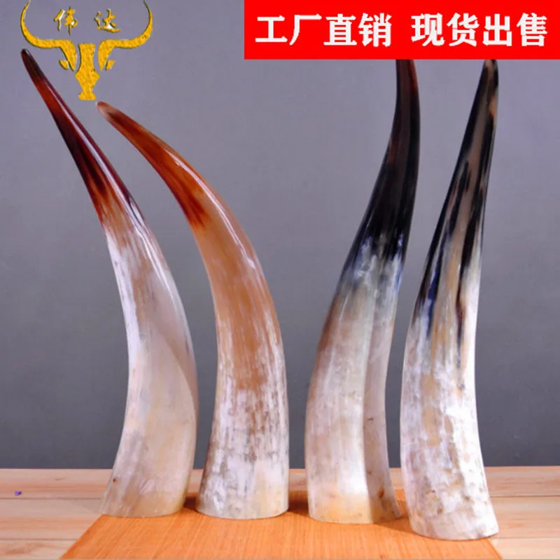 

White Yak Skull Single-Angle Ornaments White Yak Skull Vertical Horn Horn Crafts Horn Comb Factory Processing Wholesale