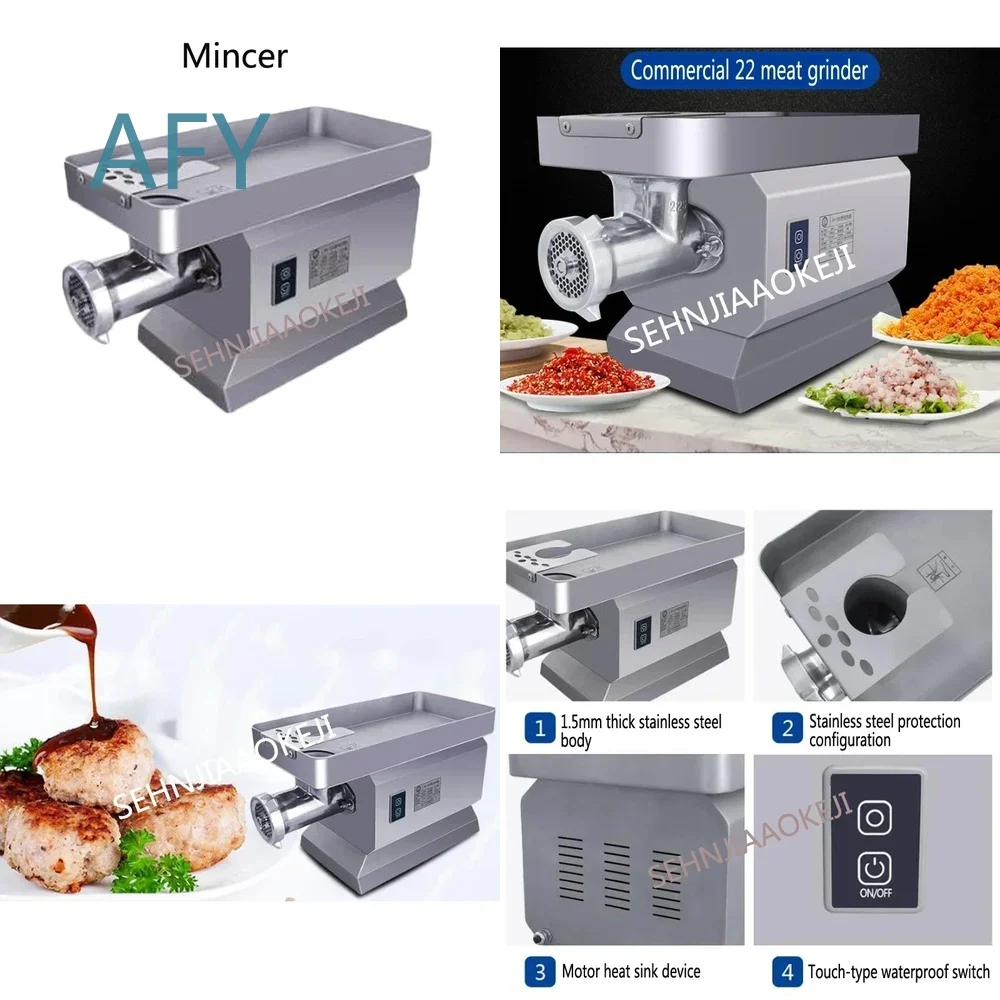 Stainless Steel Electric Meat Grinder for RY-22 High Power Commercial Mincer with Copper Motor for Sausage Making and Meat
