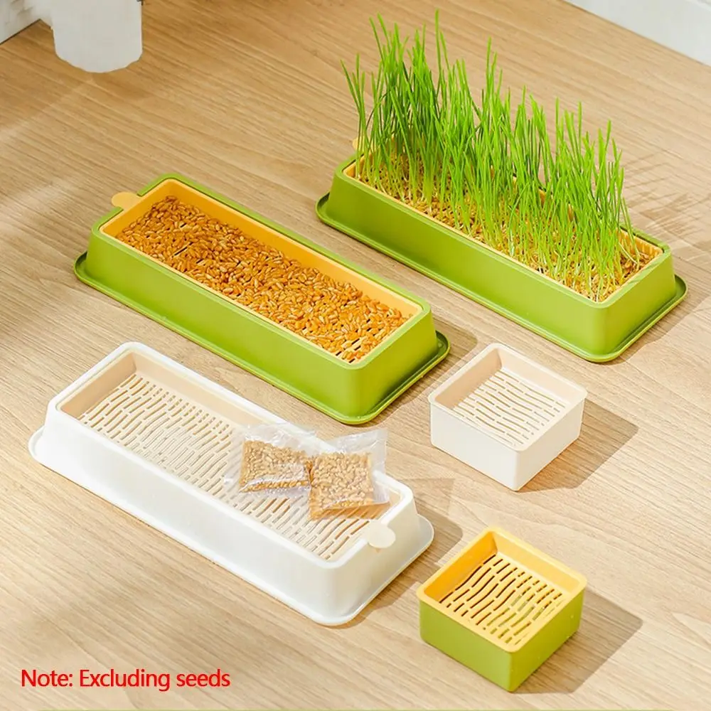 Hierarchical Design Cultivation Sprouting Tray Creative Cat Grass Planting Growing Tray Convenient Multi functional
