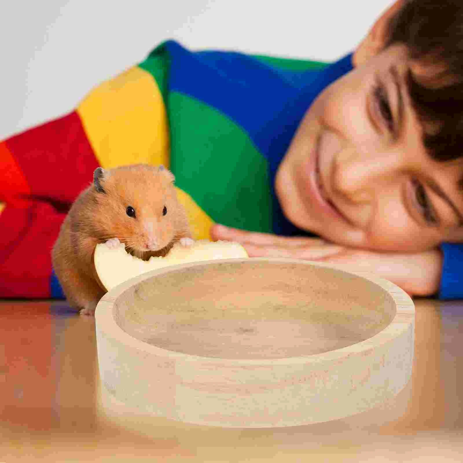 

Hamster Food Bowl Pets Bowls Dish Mat Guinea Pig Wood Bunny Supply Multi-function Feeder