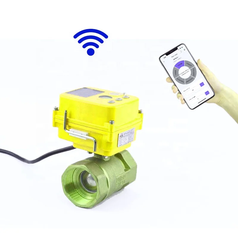 Custom Smart Water Valve WiFi Mobile Actuator Control Full Port Electric Valves DC & AC Driven Valves