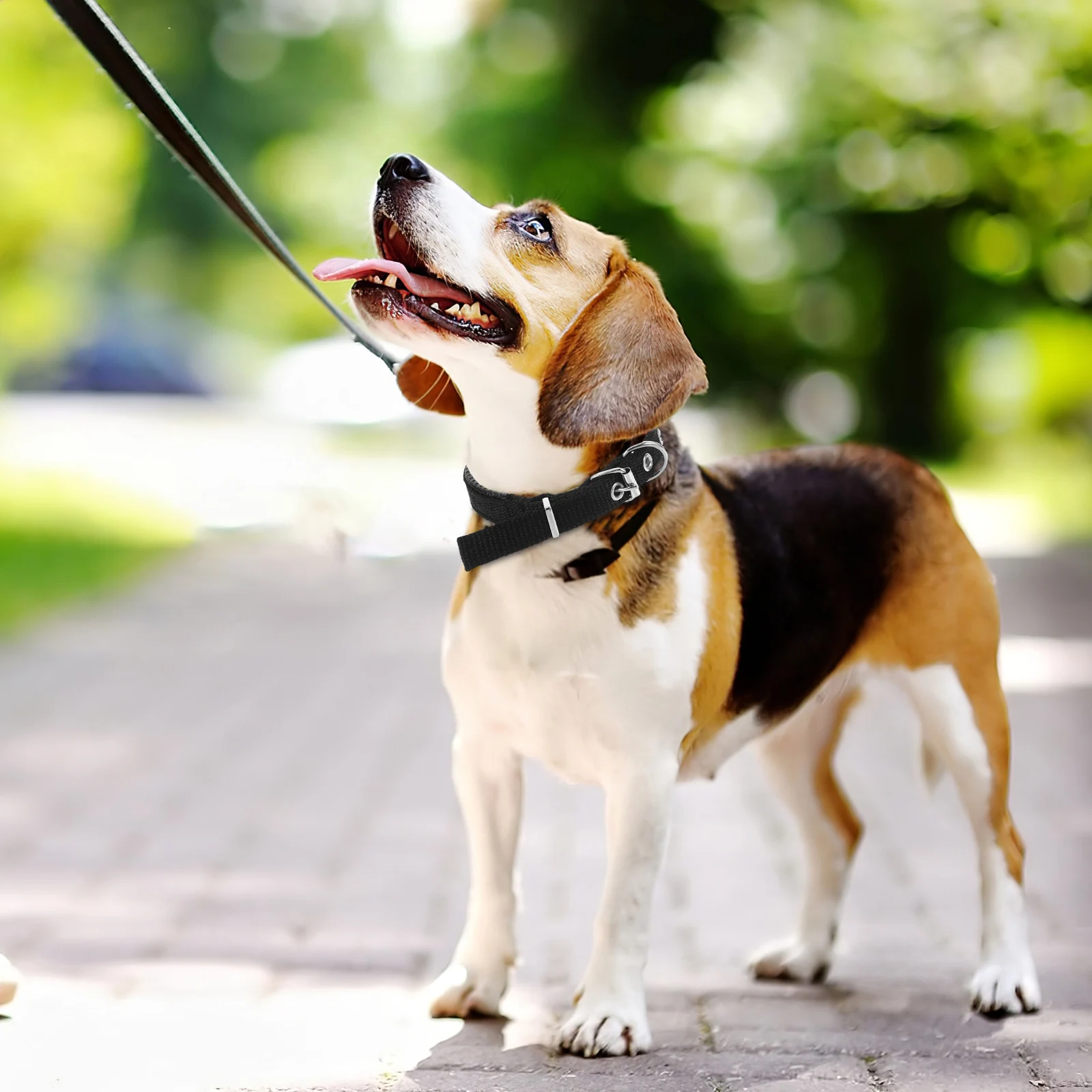 

Pet Collar Adjustable Foam Dog Puppy Cat Collars Belt Buckle Wear Resistant Stylish leash loop Multifunctional