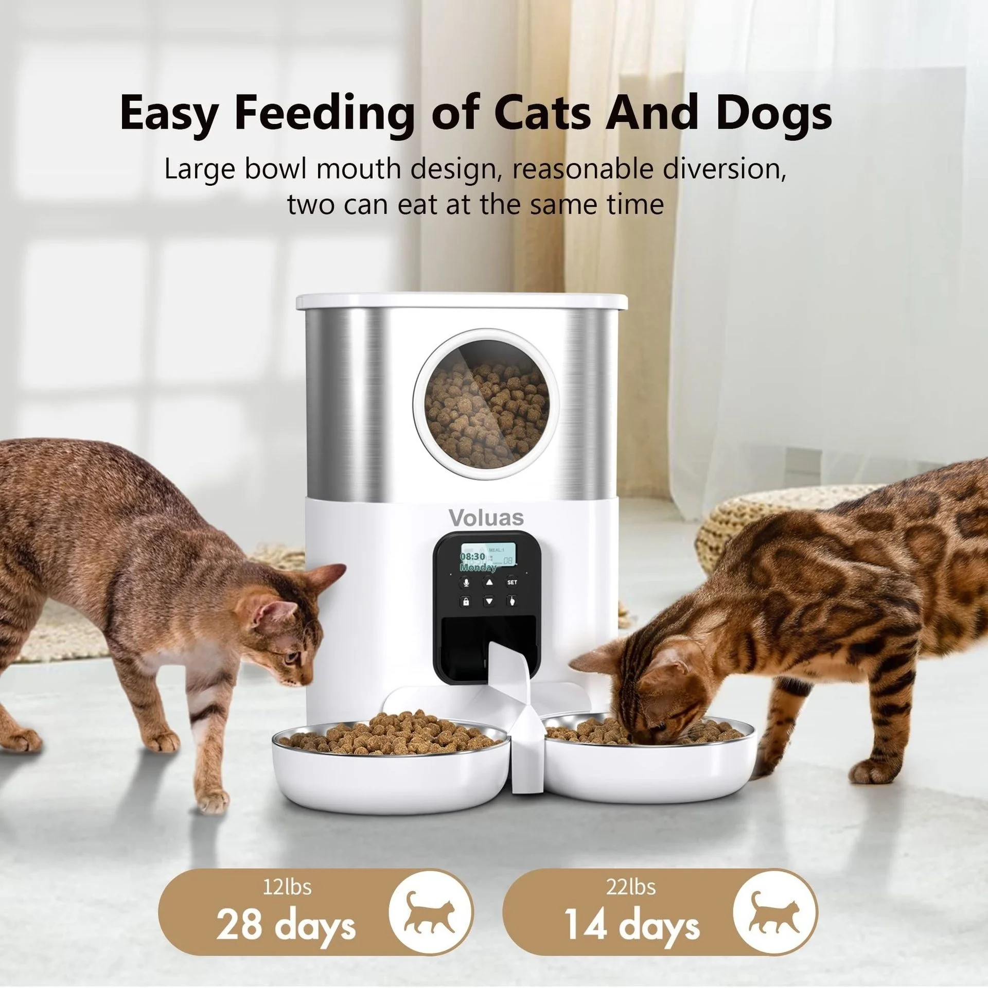 5L Double Outlet Feeder Big Eye Eco-Friendly Stainless Steel Timed Quantitative Bowls for Two Cats and Dogs