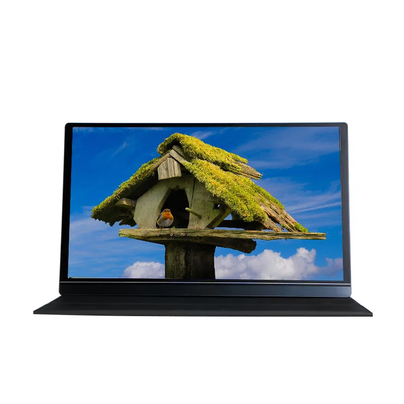 

Portable 15.6-inch FHD 1080P Display LCD External Monitor ,suitable for Laptops, Macs, Smartphones, PS4 and a Protective case