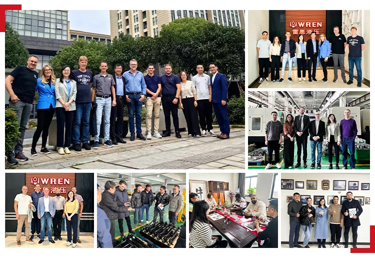 أسطوانة هيدروليكية محمولة عالية المفعول من سلسلة CLS2502-Series لبناء جسر بناء السفن ماركة WREN #5