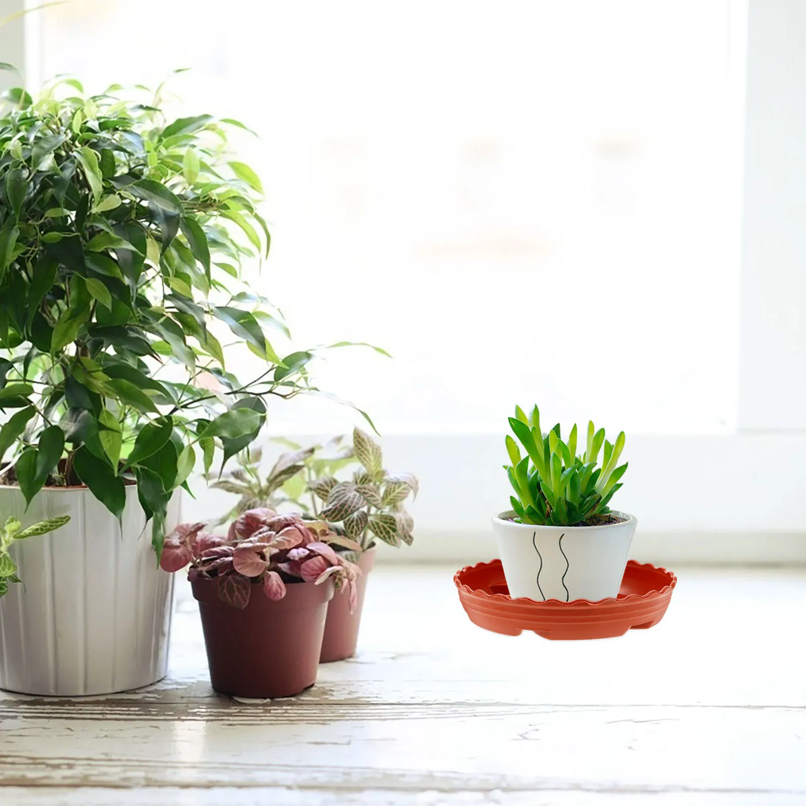 

10pcs Plant Saucer Tray Round Thickened For Indoor Plants Drainage Bonsai Flowerpot Pots Plate Garden Decoration Water Catcher