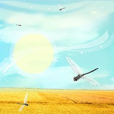 

Soft & Durable Foam Front Bumper for YOKOMO YD2 YD4 | Easy Install Upgrade | Protects RC Car from Crashes | Y4-001F Sponge Acces