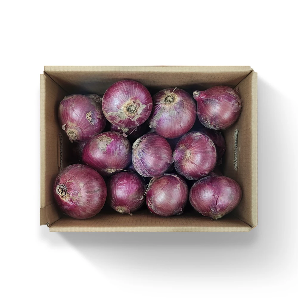 بصل كوري أرجواني بصل أحمر (كبير) 1 كجم #1