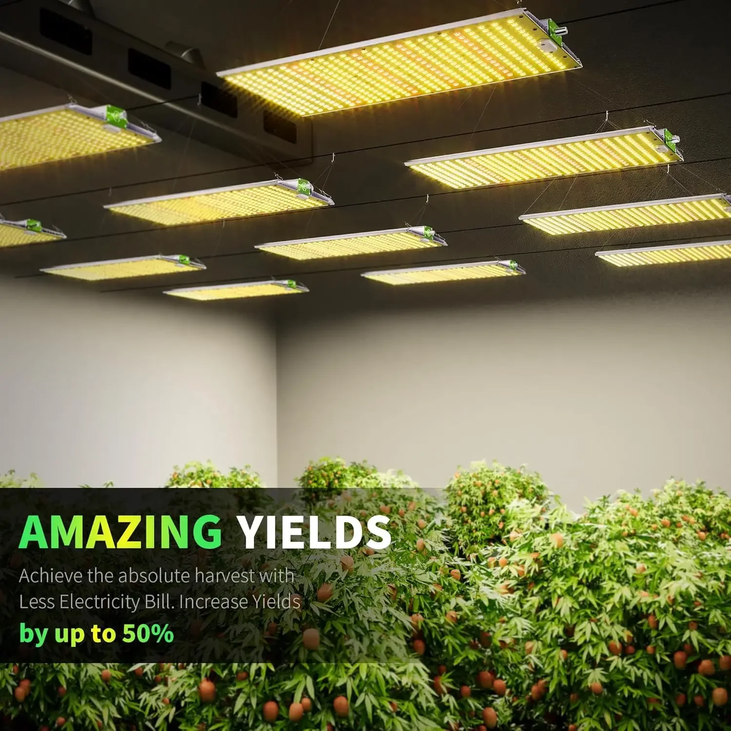 

Hot sale.2025 Upgraded BP2000 LED Grow Light with High Yield Diodes & Dimmable Full Spectrum Plant Light for Indoor Plants Seedl