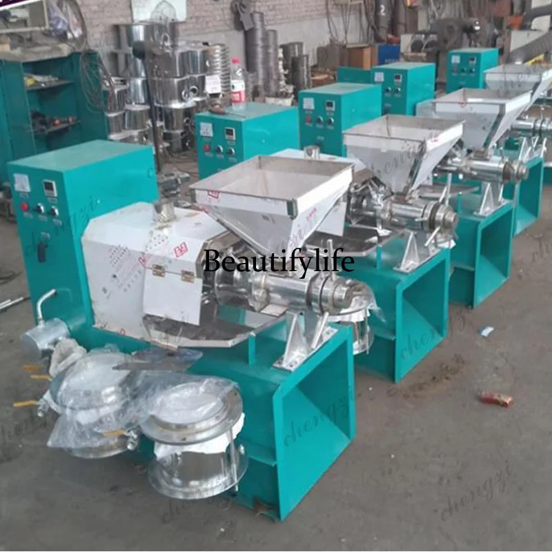 Commercial Peanut Oil Press Machine Pine Coconut Nut Kernel Squeeze 30-60 Kg/H Extractor Business
