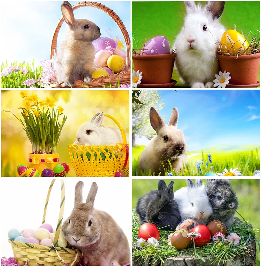 

Cute Fat Rabbit For Easter Festival Spring Backgrounds Eggs Green Plants Floral Natural Scenery Backdrops Photography Decor