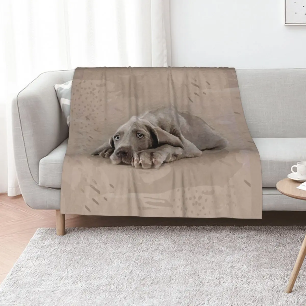 Weimaraner puppy Throw Blanket Beach christmas gifts Bed linens Hairy Softest Comforter Blankets