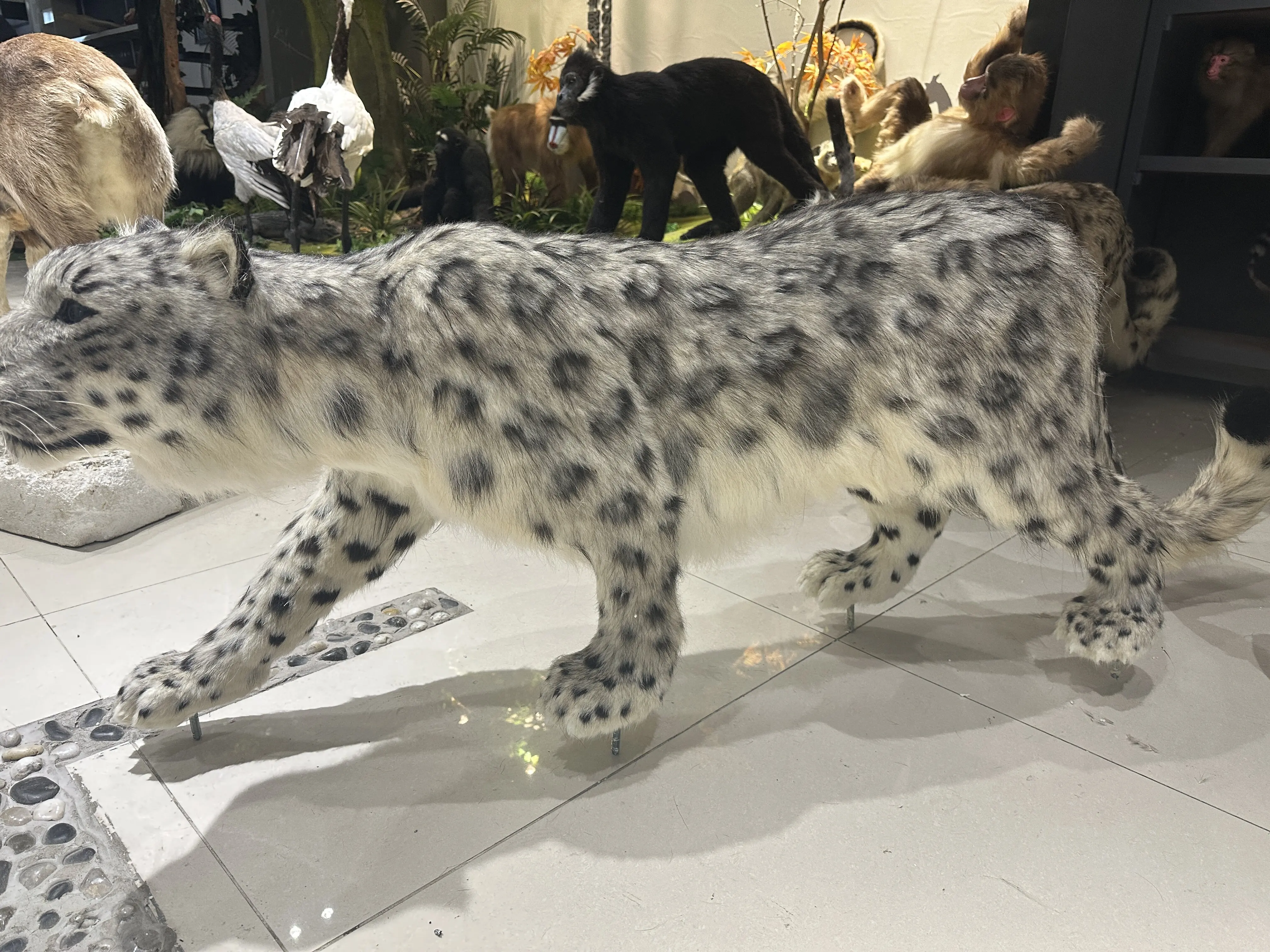 Simulate animal models, reproduce the beauty of nature with ingenuity, and inject vividness and reality into your display space