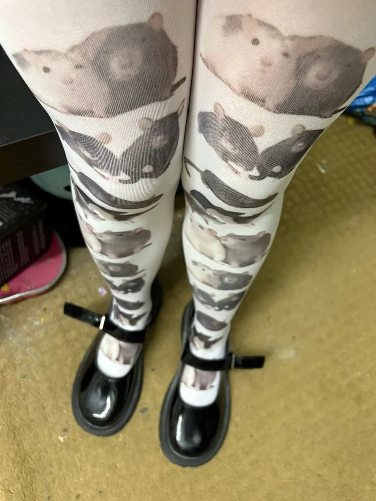 Лосины бриджи (лосины бриджи) купить от 136,00 руб. Спортивная одежда и аксессуары на 1rub.ru