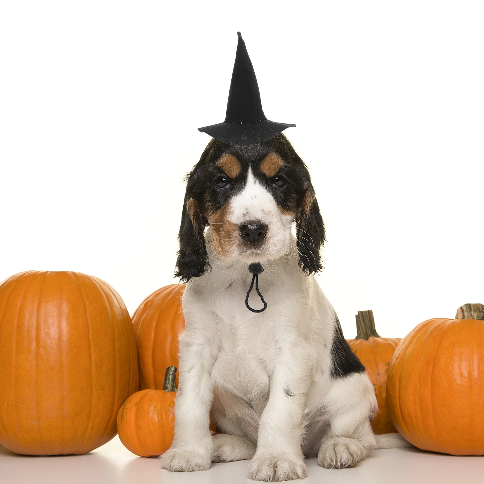 

2Pcs Witch Hat Pet Headdress Halloween Party Costume Cap Dog Cat Hat Decor Pet Headdress Costume Caps Dog