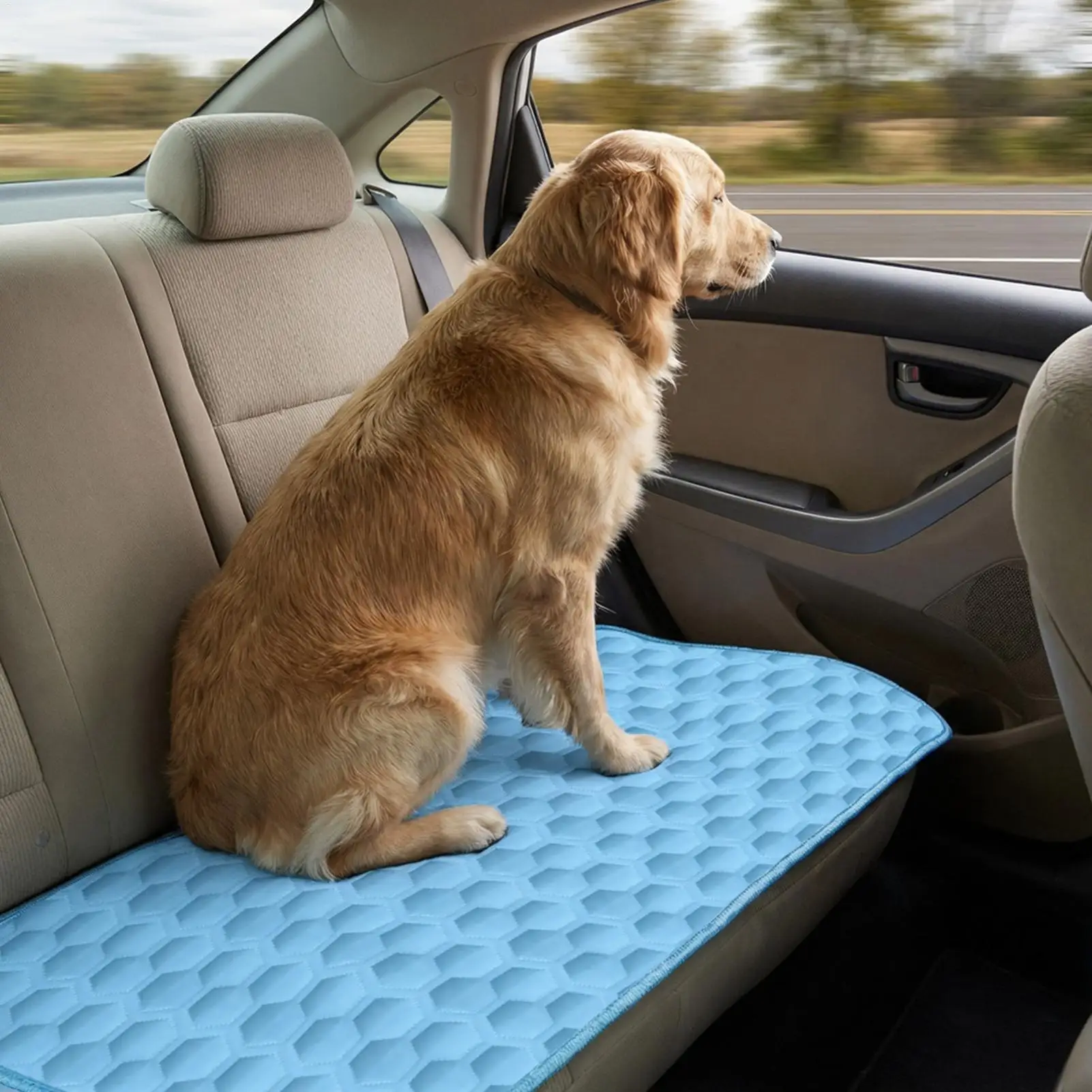 Ice-Cool Summer Pet Cooling Mat and Bed Sweat-Absorbent Fabric Available in 5 Sizes for Small Medium and Large Pet