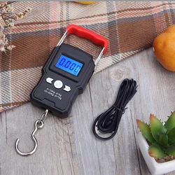 Mini Digital Scale Portable Handy Pocket Weight For Fishing Luggage Travel Weighting Steelyard Electronic Hanging Hook Scale