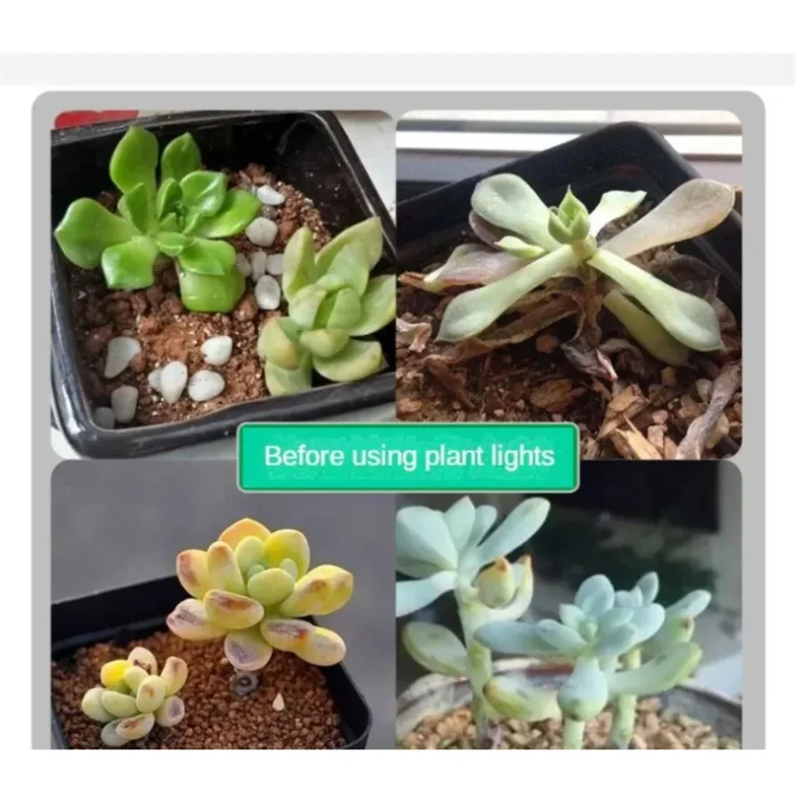 21 المصابيح 1 مجموعة تزايد ضوء داخلي الملحق ضوء النبات تنمو مصابيح الدفيئة فيتو مصباح تنمو المائية تزايد شرائط مصباح #5