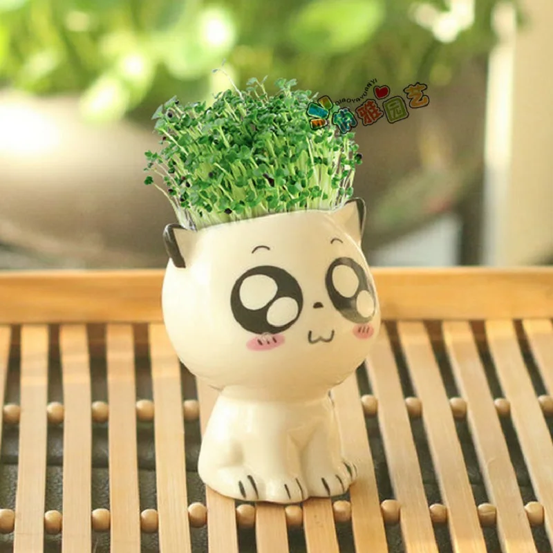 Ceramic Flowerpot Mini Cat Shaped Cartoon Cute Potted Plant Desktop Potted Expression Cat Plant Pot Desk Decorate Small Ornament