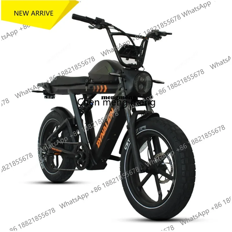 

DYNALION 48V 1000W China Cheap Full Suspension Retro Vintage E Bike Ebike Dirt Mountain Fat Tire Bicycle Electric Hybrid B