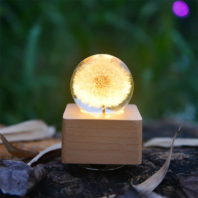 Real Dandelion Rose Carnation Flower Resin Ball Music Box Night Light Valentine Gift Preserved Real Flower Gift For Girlfriend