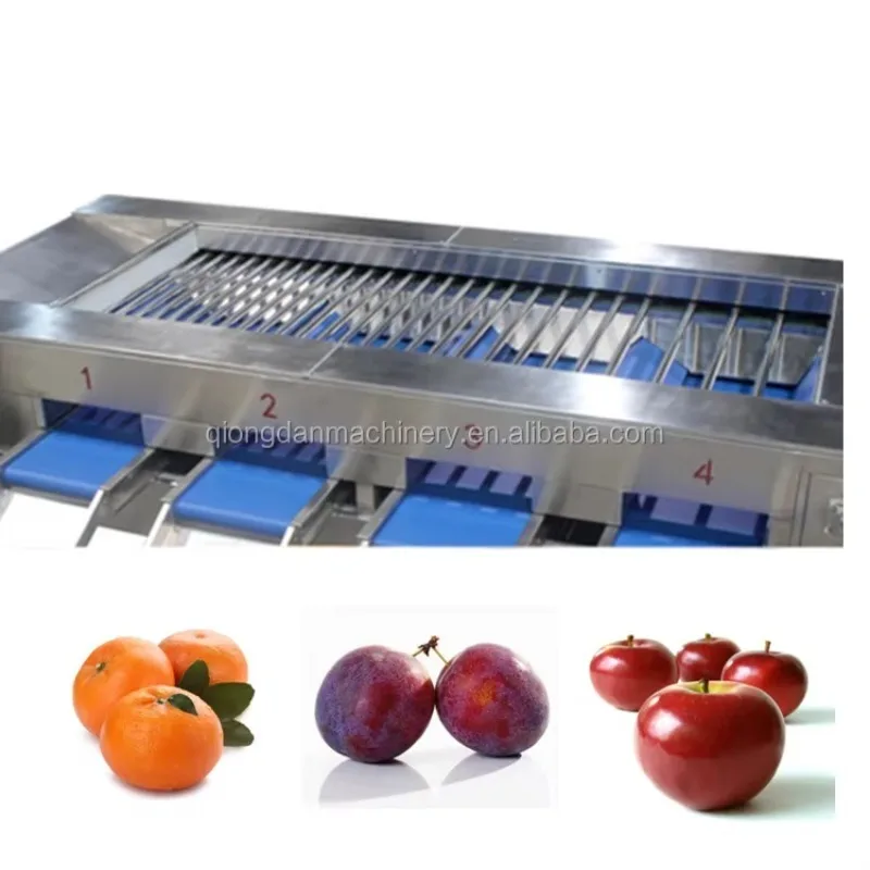 Vegetable/fruit Sorting Machine  Potato Tomato Garlic Chili Pepper Onion Carrot Cucumber Mushroom Grading Machine