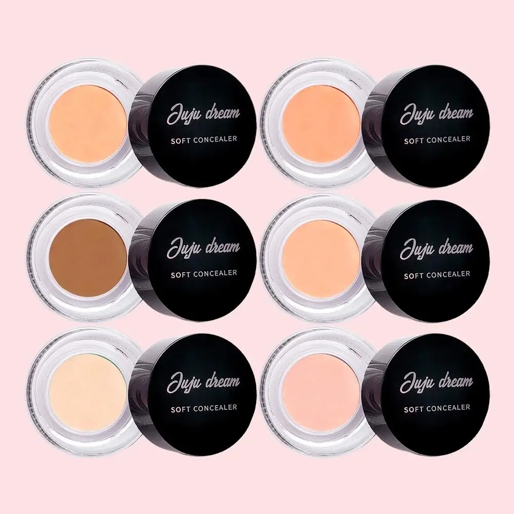 6Colors Waterproof Full Coverage Concealer for Tattoos, Scars - Natural Finish Foundation for All Skin Tones & Types T0L5