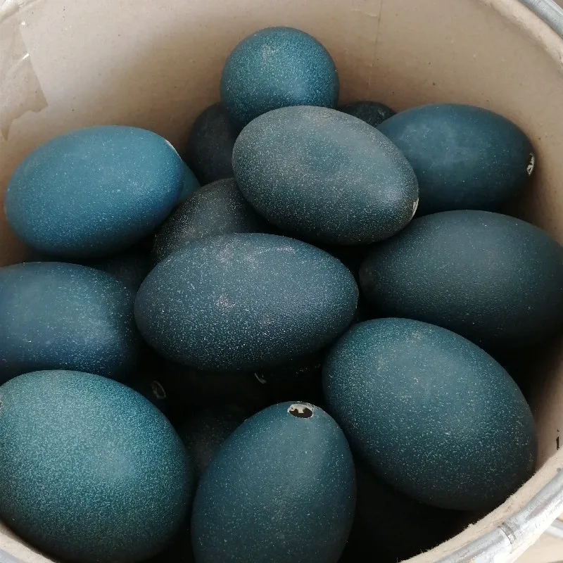 Emu Egg Shell, Carving Painting Crafts Decoration Raw Materials, Holiday Gifts Ornaments