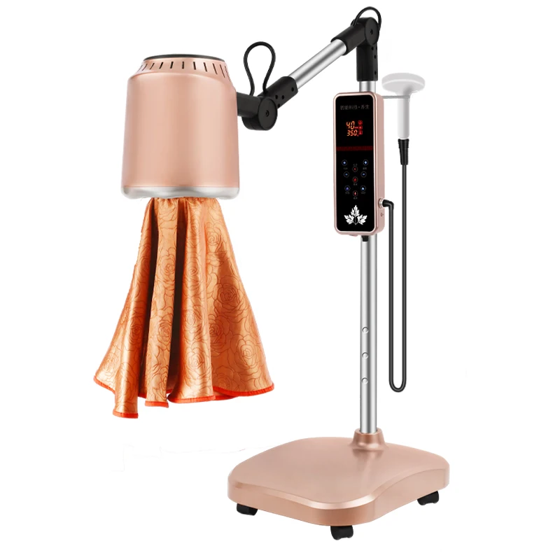 Moxibustion Household Instrument Palace Cold Fumigation Instrument Health Beauty Salon Electronic Physiotherapy