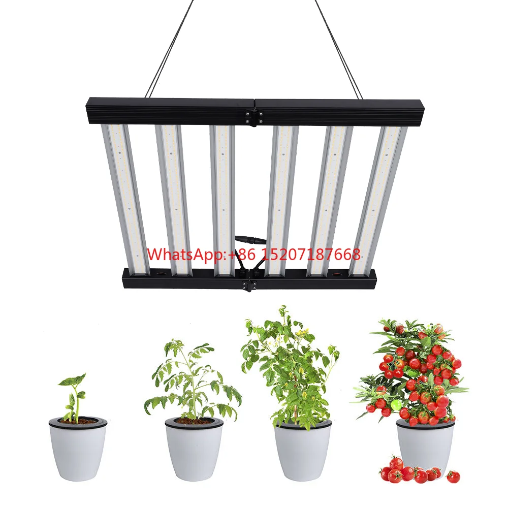 Top High Ppe 2.94Um…