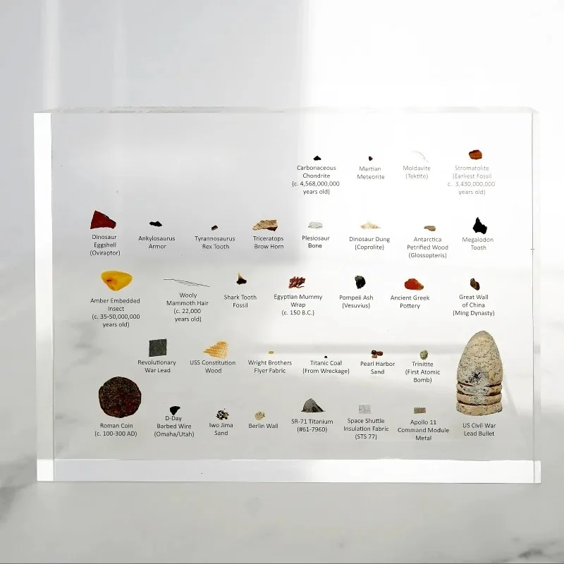 Real Specimens Touch Edition Mini Museum Historical Gifts Ornament Collection