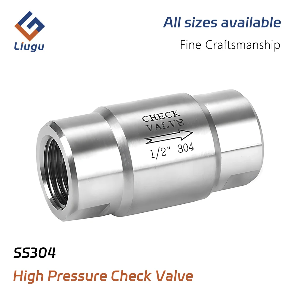 304 Stainless Steel High Pressure Check Valve, 1/8