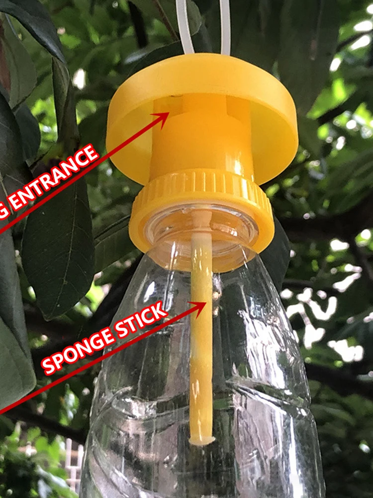 Control Drosophila Catcher Fruit Fly Trap Killer Cover Insect Beverage Bottle Vegetable Simple Farm Home Garden
